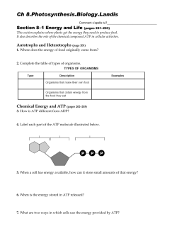 Ch 8.Photosynthesis.Biology.Landis
