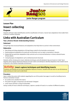 Insect collecting - Department of Environment and Heritage Protection