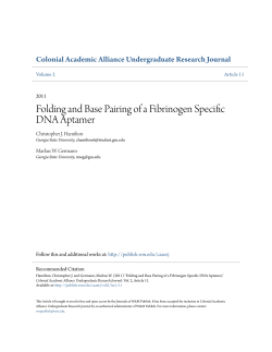 Folding and Base Pairing of a Fibrinogen Specific DNA Aptamer