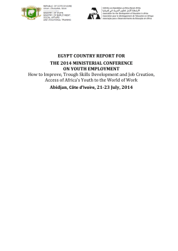 EGYPT COUNTRY REPORT FOR THE 2014 MINISTERIAL