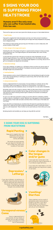 5_Signs_Your_Dog_Heatstroke_V2A(1)