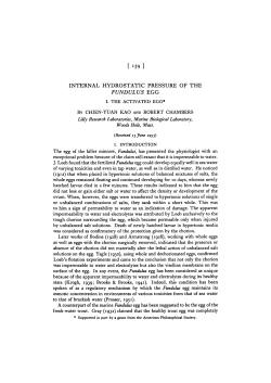 internal hydrostatic pressure of the fundulus egg