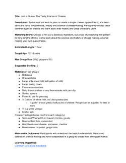 Just in Queso: The Tasty Science of Cheese