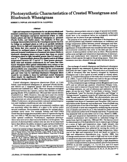 Photosynthetic Characteristics of Crested Wheatgrass and