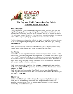 The Dog and Child Connection-Dog Safety: What to Teach Your Kids