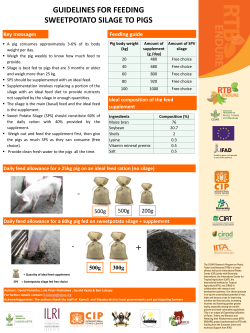 Key messages Feeding guide 500g 500g 200g 500g 300g