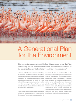 A Generational Plan for the Environment
