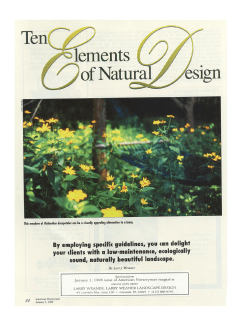 Ten Elements of Natural Design