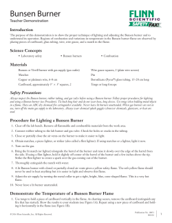 Bunsen Burner - Flinn Scientific