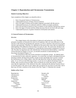 Chapter 2: Reproduction and Chromosome Transmission