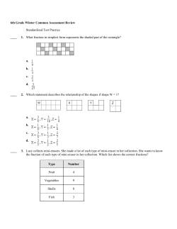 6th Grade Winter Common Assessment Review Standardized Test