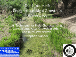 Conspicuous Algal Growth in Waterways
