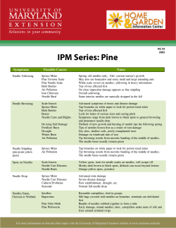IPM Series: Pine - University of Maryland Extension