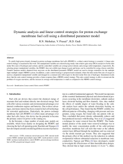 Dynamic analysis and linear control strategies for proton exchange