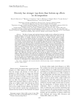 Diversity has stronger top-down than bottom