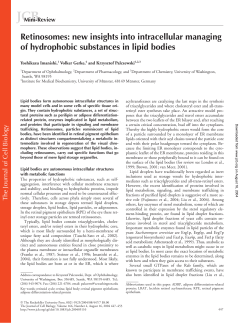 Retinosomes: new insights into intracellular managing of