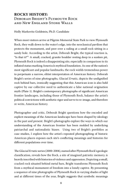 Deborah Bright`s Plymouth Rock and New England Stone Walls