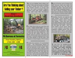 Are You Thinking about Selling your Timber