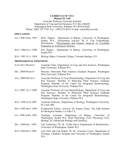 CURRICULUM VITA Michael M. Neff Associate Professor/Associate