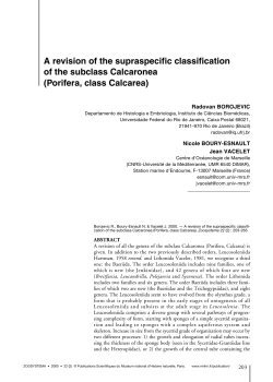 A revision of the supraspecific classification of the subclass