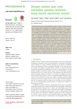 Divergent evolution peaks under intermediate population