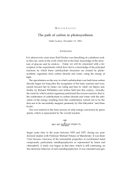Melvin Calvin - Nobel Lecture