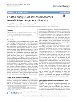 Fruitful analysis of sex chromosomes reveals X