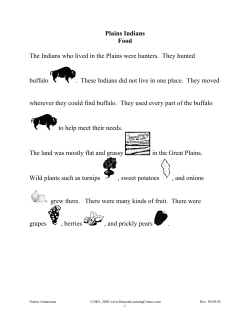Great Plains Indians - Beacon Learning Center