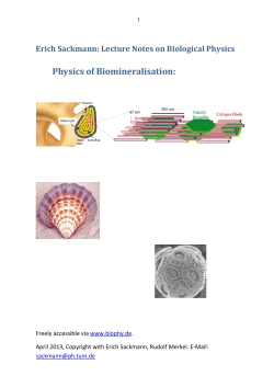 Physics of Biomineralisation