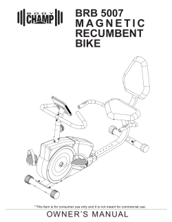 magnetic recumbent bike