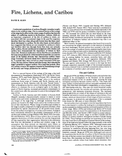 Fire, Lichens, and Caribou - Journals at the University of Arizona