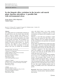 In situ biogenic silica variations in the invasive salt marsh plant