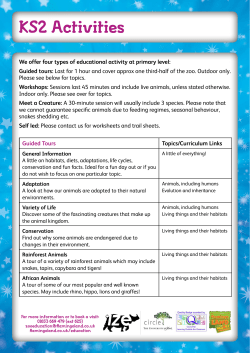 KS2 Activities - Flamingo Land