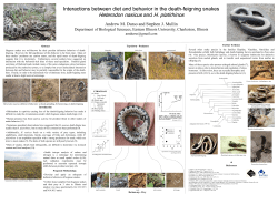 Interactions between diet and behavior in the death
