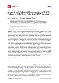 Antigenic and Biological Characterization of ORF2&ndash;6 Variants at