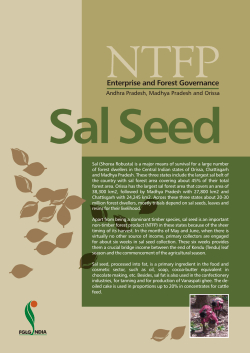 Sal Seed - iied iied - International Institute for Environment and