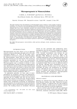 Microsporogenesis in Monocotyledons