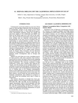 Implications of Leg 63 - Deep Sea Drilling Project