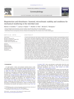 Bioprotection and disturbance: Seaweed, microclimatic stability and