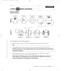 CHAPTER MENDEL AND MEIOSIS