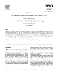 Genetic processes in arbuscular mycorrhizal fungi