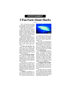 5 Fun Facts About Sharks