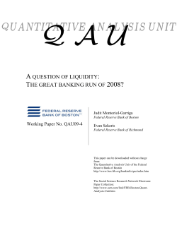 A Question of Liquidity: The Great Banking Run of 2008