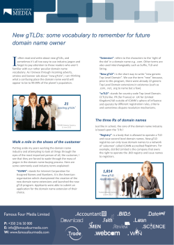 New gTLDs: some vocabulary to remember for future domain name