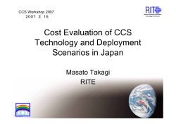 Economic Evaluation of CO 2 Geological Storage in Japan