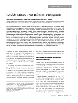 Candida Urinary Tract Infection: Pathogenesis