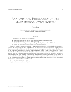 Anatomy and Physiology of the Male Reproductive System&lowast;
