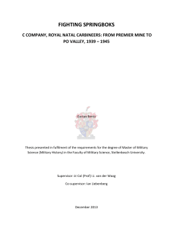 fighting springboks - Stellenbosch University