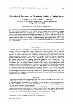 Electrophoretic Karyotypes and Chromosome