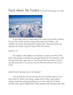 Facts About the Tundra B y